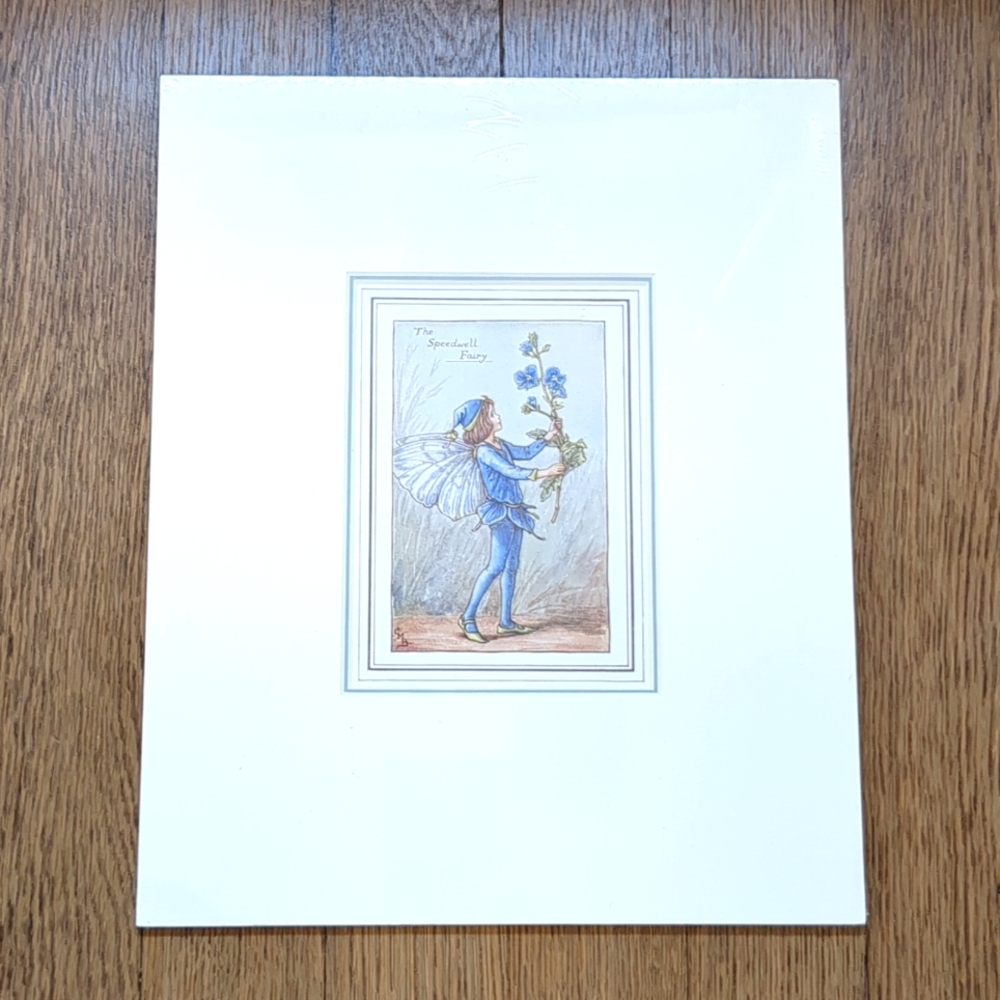 EUC Cicely Mary Barker The Speedwell Fairy VTG Flower Fairy Illustrated Print